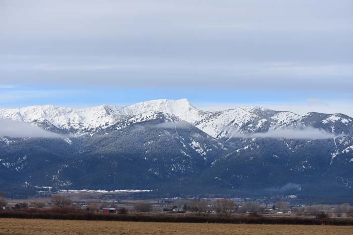Commentary: A quiet shift in managing the Blue Mountains forests