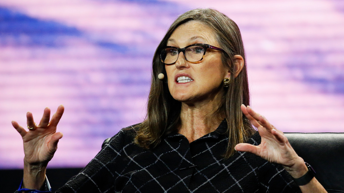 Cathie Wood snags $53 million of this scorched tech stock | Hermiston Herald