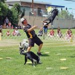 The K9 Kings Flying Dog Show is featured daily during the 2025 Umatilla County Fair.