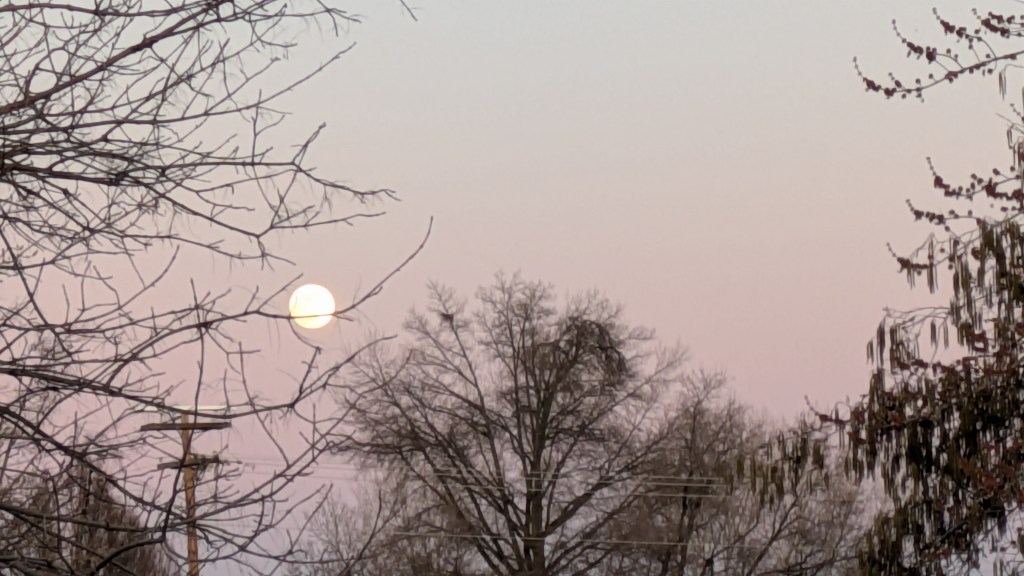 Oregon weather for March 4-8